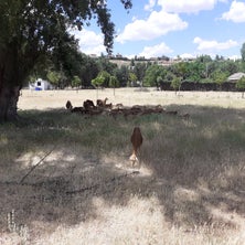 20220602_160809.jpg