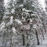 IMG_1482.jpg