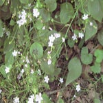 IMG_4416.jpg