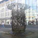 IMG_3976.jpg