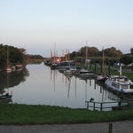 IMG_4431.jpg