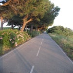campere18-06-2012005.jpg