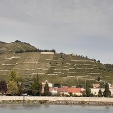 20210928_120548.jpg