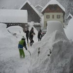 IMG_3652.jpg