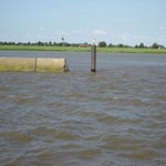 IMG_4424.jpg