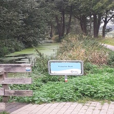 20210912_140851.jpg