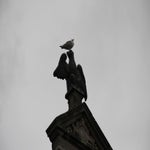 Walcheren2018024.jpg