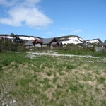 IMG_4303.jpg