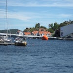 IMG_4379.jpg