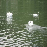 IMG_3964.jpg