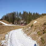 029-1.jpg