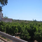 Spanje2016090.jpg