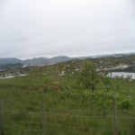 IMG_4352.jpg