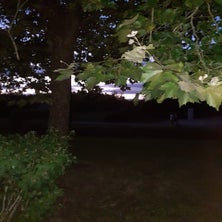20221002_194820-1.jpg