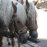 TsjechieOostenrijk084.jpg