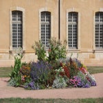 Cluny011.jpg