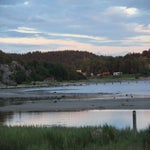 IMG_0560.jpg