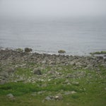 IMG_4354.jpg