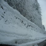 IMG_3669.jpg