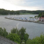 IMG_4268.jpg