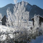 IMG_1492.jpg