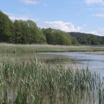 IMG_4274.jpg