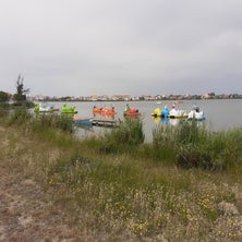 20220614_152213.jpg
