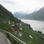 IMG_4320.jpg