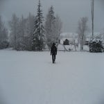 IMG_3643.jpg