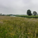 20210605_152910.jpg