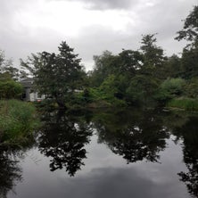 20220819_140944.jpg