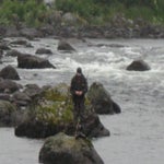 IMG_4361.jpg