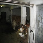 Weissensee2011076.jpg