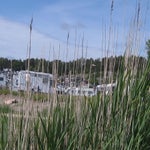 IMG_4276.jpg