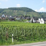 IMG_4000-1.jpg