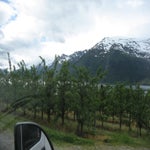 IMG_4323.jpg