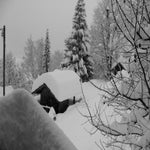 IMG_3650.jpg