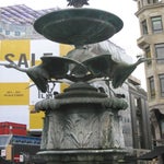 IMG_4259.jpg