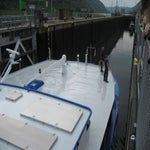 IMG_3986.jpg