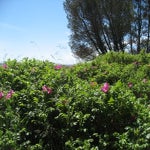 IMG_4377.jpg