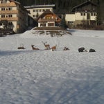 IMG_3599.jpg