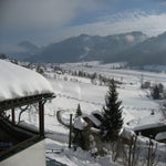IMG_1014.jpg