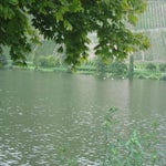 IMG_3963.jpg