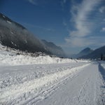 IMG_1017.jpg