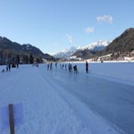 IMG_0294.jpg