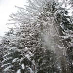 IMG_3633.jpg