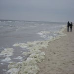 Renessemei2017009-1.jpg