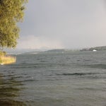 IMG_0211.jpg