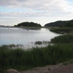 IMG_4267.jpg