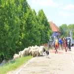 WeekjeGeldersePoort009-1.jpg